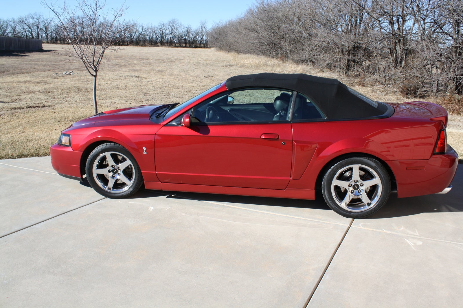 2003 Ford Mustang SVT Cobra - Pictures - CarGurus