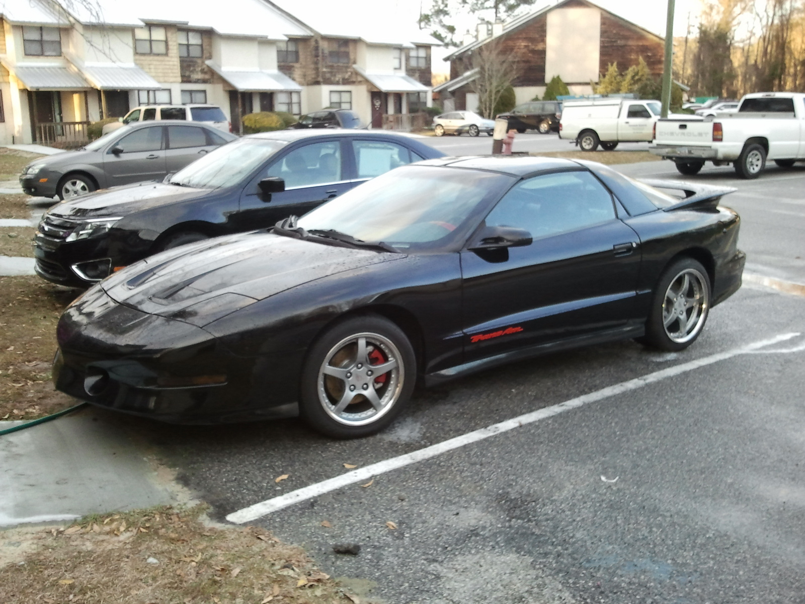 1995 Pontiac Firebird - Pictures - CarGurus