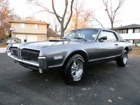 Cougar Cougar