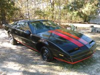 Firebird Firebird
