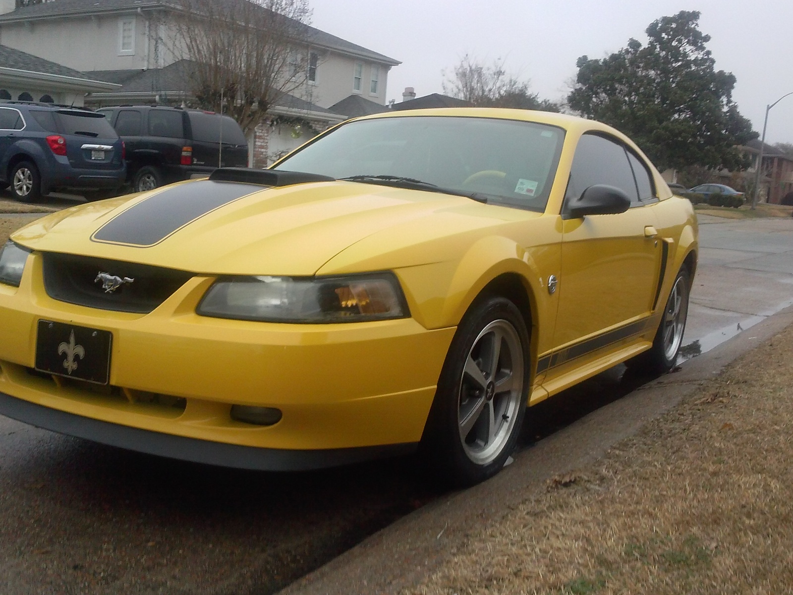 2004 Ford mach 1 mustang specs #3