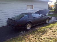 Firebird Firebird
