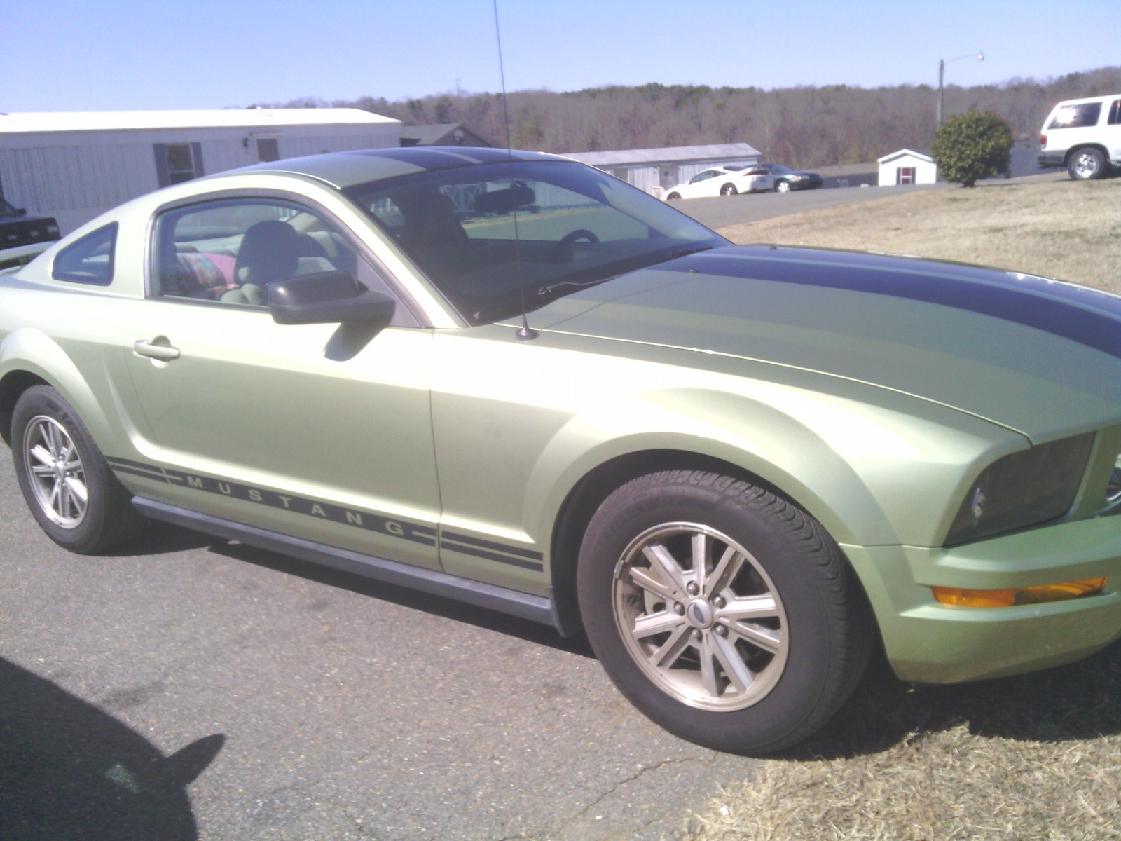 Ford mustangs for sale 2006 2007 #6