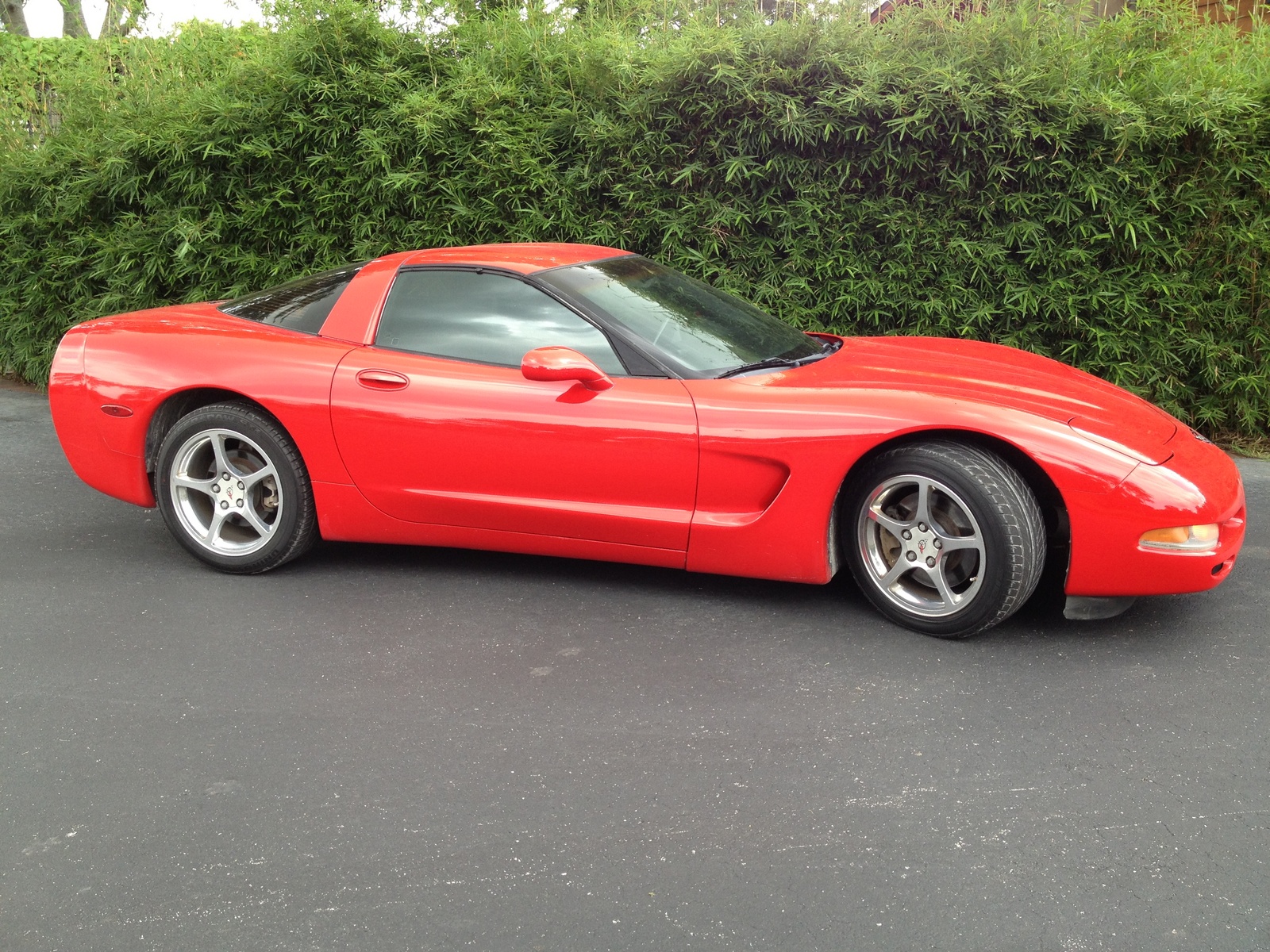 2001 Chevrolet Corvette - Exterior Pictures - CarGurus