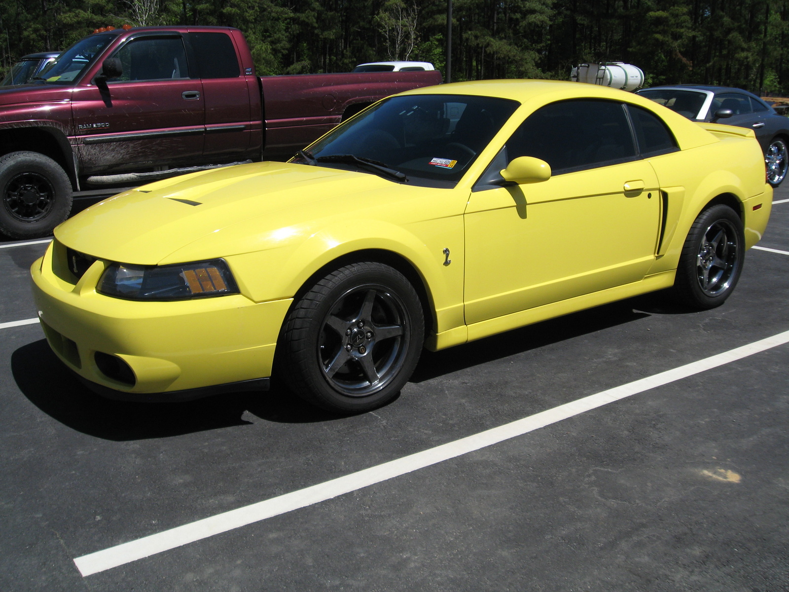 2001 Ford mustang cobra coupe specs #5