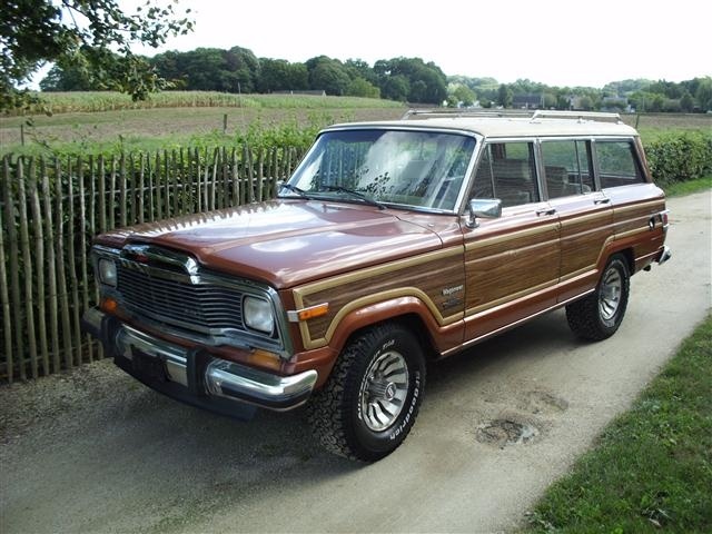 1982 Jeep Wagoneer User Reviews Cargurus