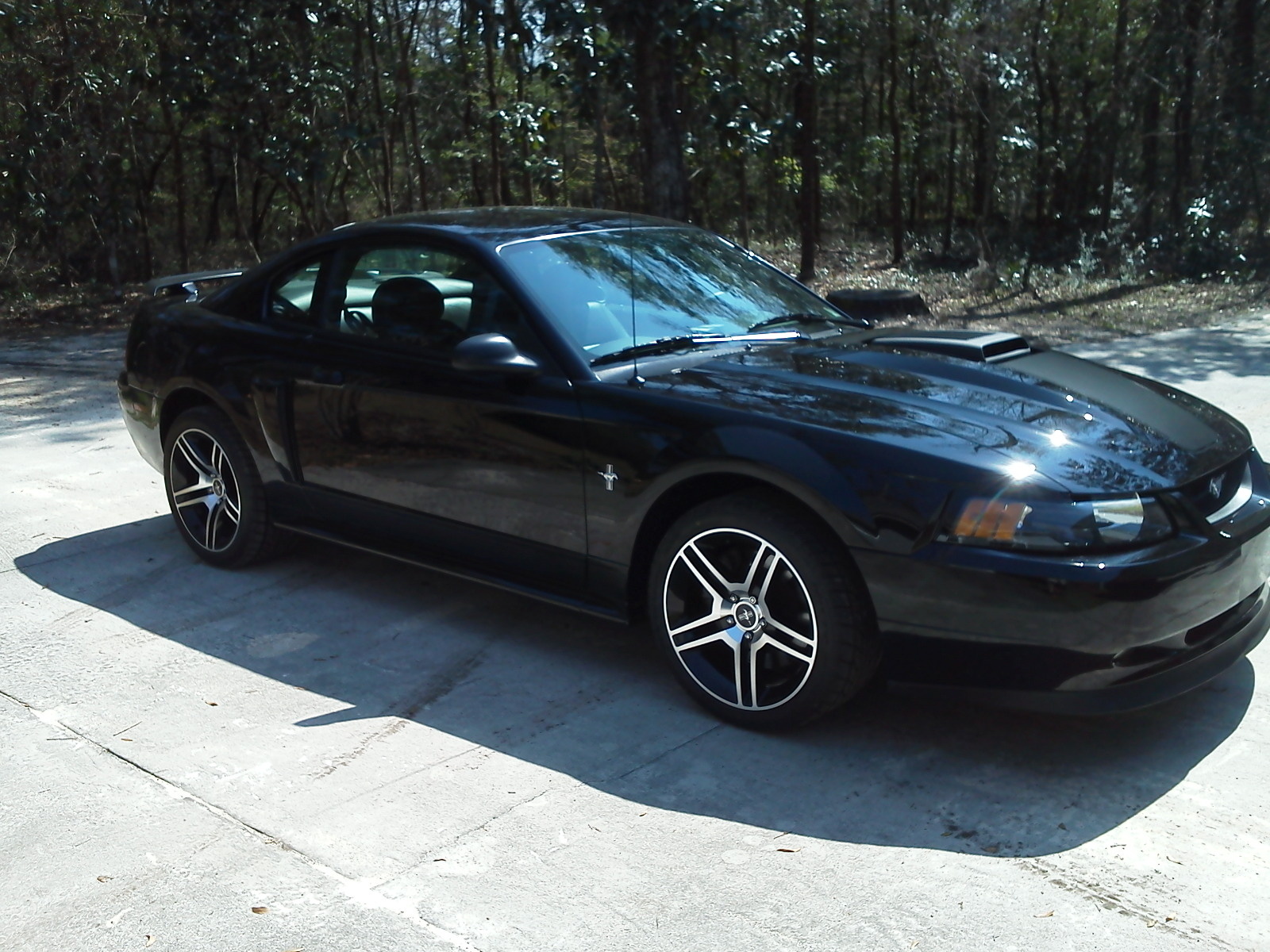 2001 Ford mustang mach 1 specs #4