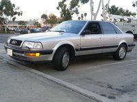 V8 V8