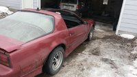 Firebird Firebird