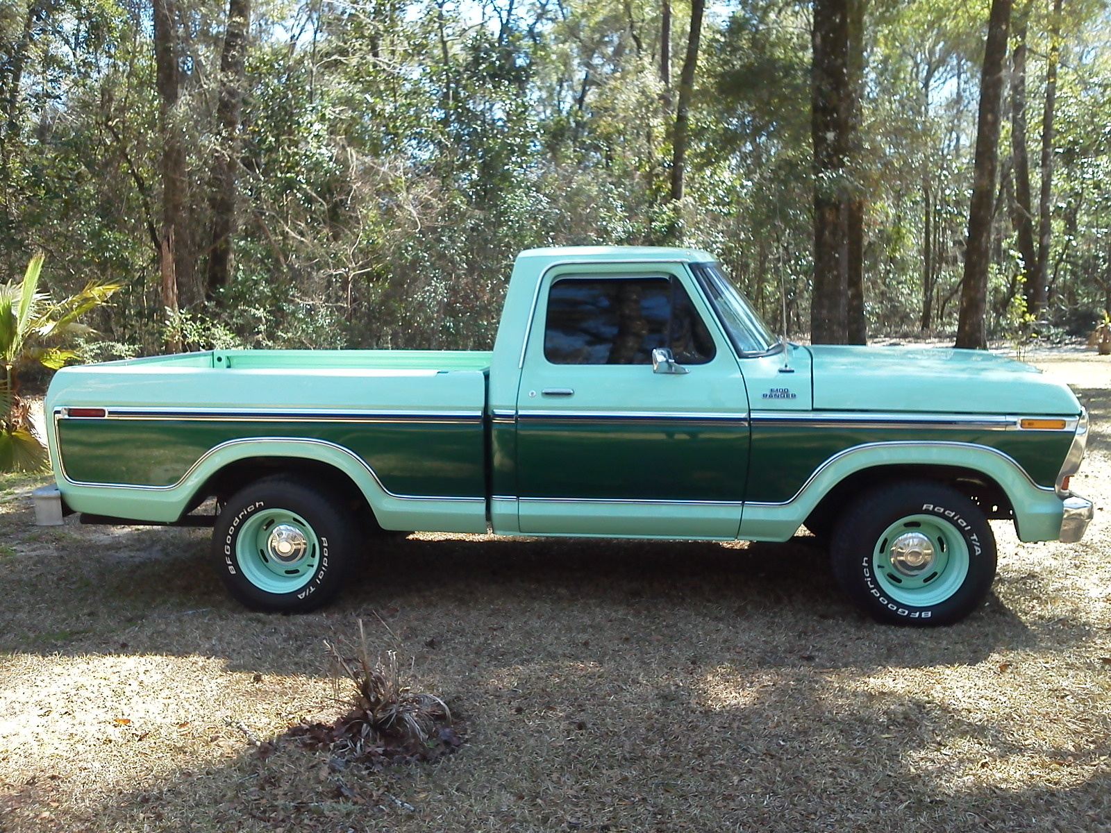 1978 F100 ford