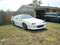 Firebird Firebird