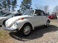 Super Beetle Super Beetle