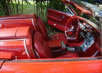 Thunderbird Thunderbird