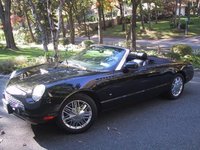 Thunderbird Thunderbird