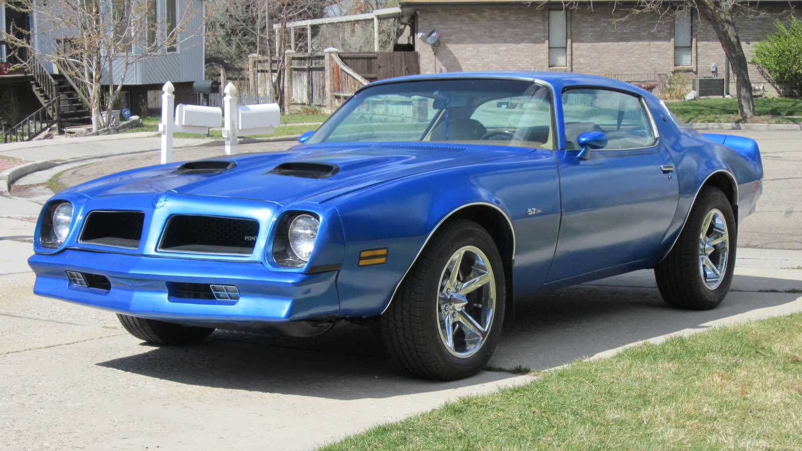 1976 Pontiac Firebird - Pictures - CarGurus