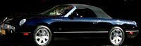 Thunderbird Thunderbird