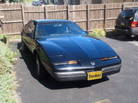 Firebird Firebird