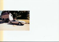 Firebird Firebird