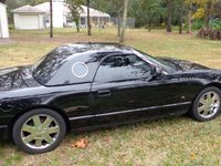 Thunderbird Thunderbird