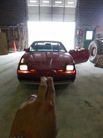 Firebird Firebird