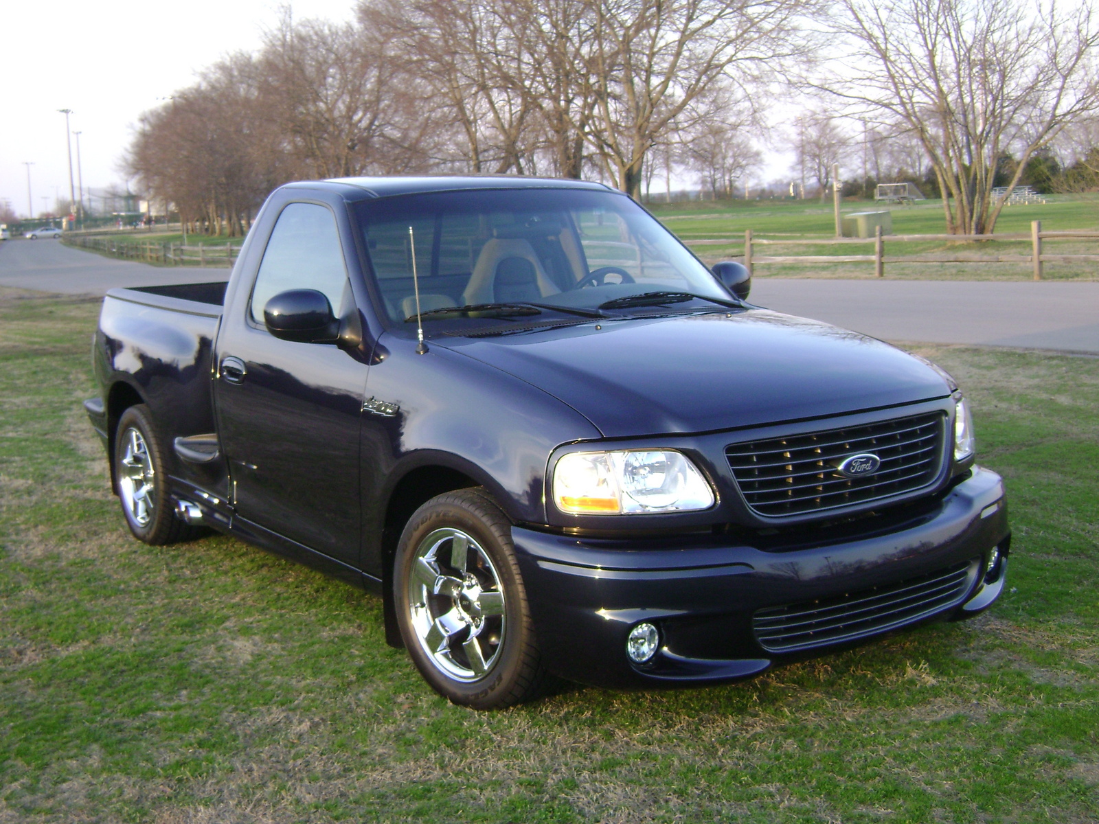 2002 Ford lightning #8