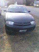 Cavalier Cavalier