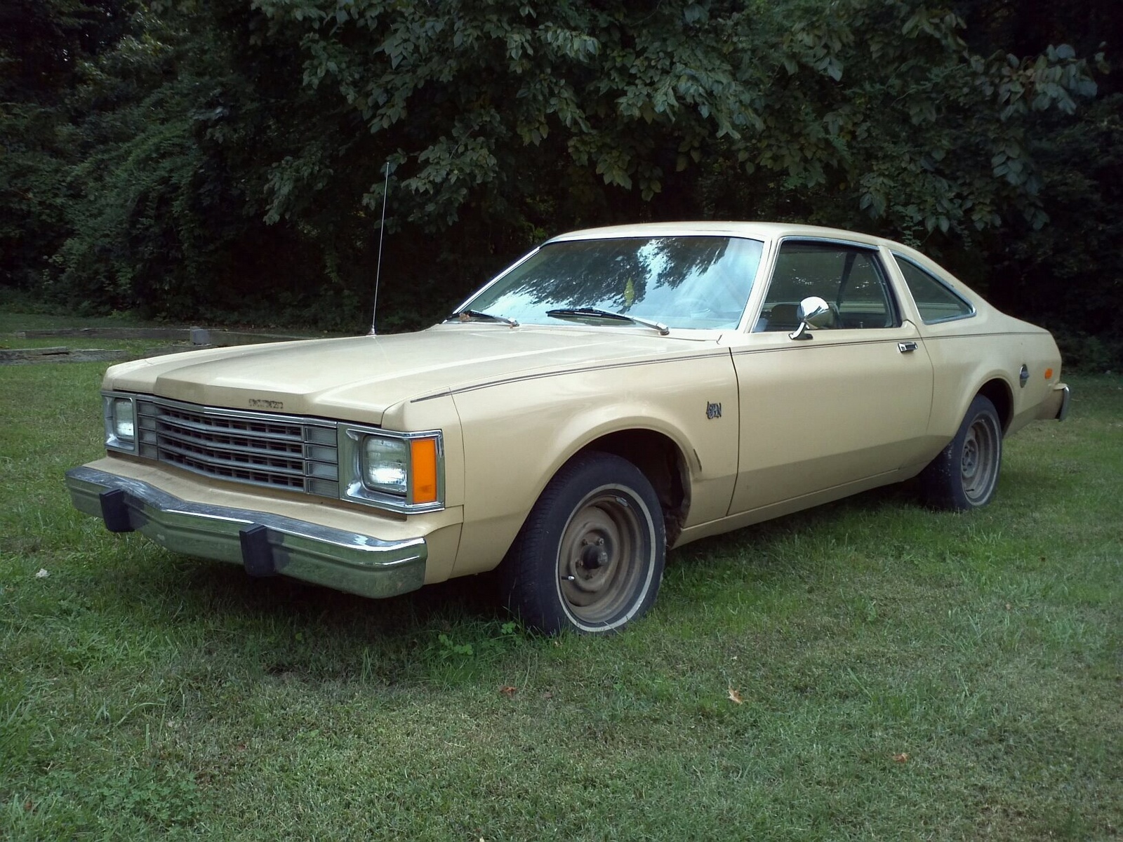 1979 Dodge Monaco Rv Oil Filter 440 Engine