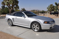 Mustang SVT Cobra Mustang SVT Cobra