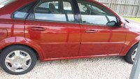 Forenza Forenza