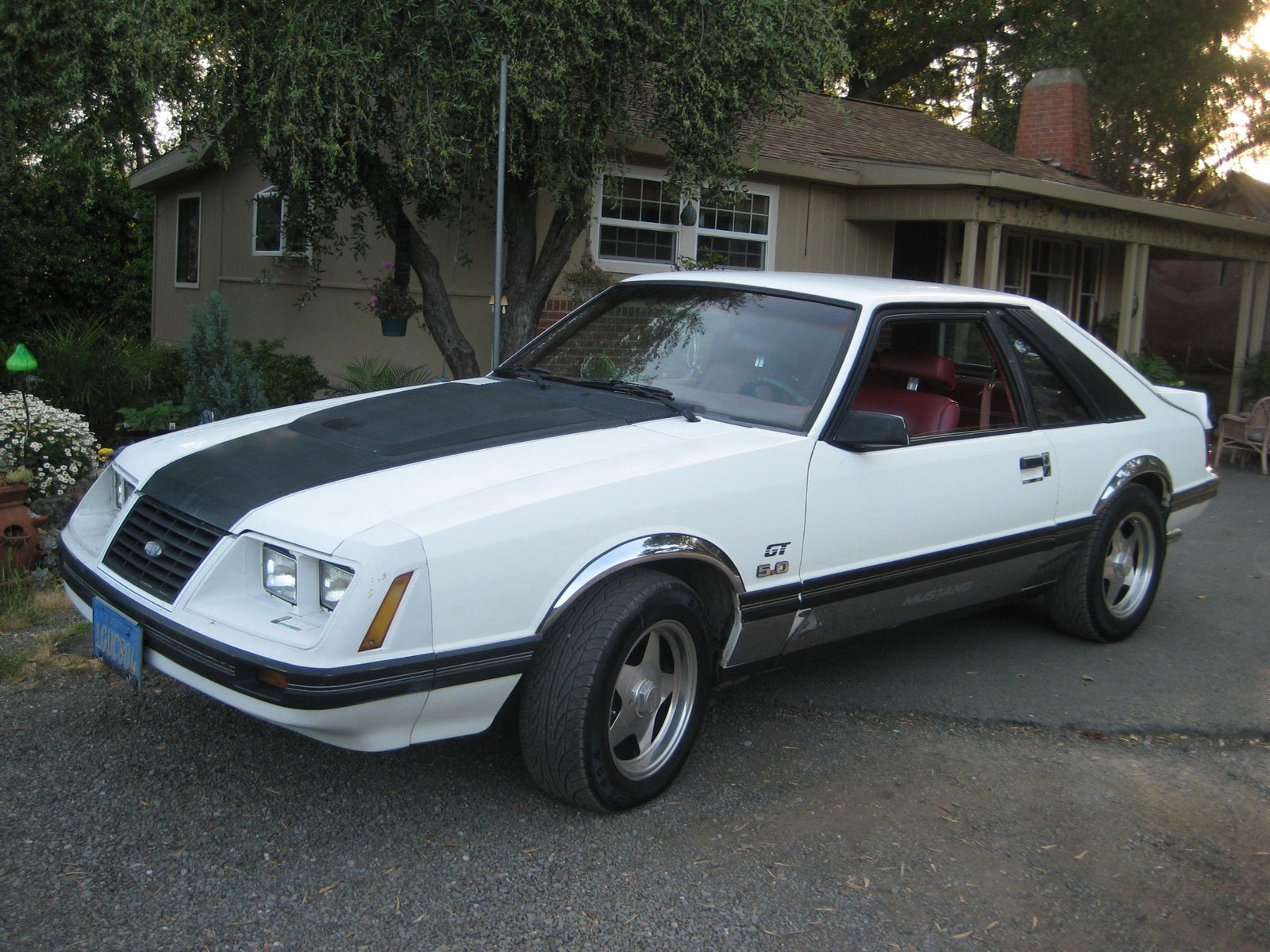Asked by mitzivalera May 04, 2014 at 03:09 PM about the 1983 Ford Mustang G...