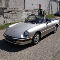 1986 Alfa Romeo Spider Pictures Cargurus
