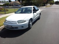 Cavalier Cavalier