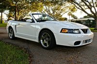 Mustang SVT Cobra Mustang SVT Cobra