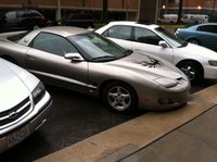 Firebird Firebird