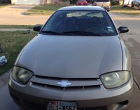 Cavalier Cavalier