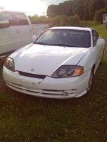 Tiburon Tiburon
