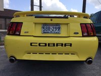 Mustang SVT Cobra Mustang SVT Cobra