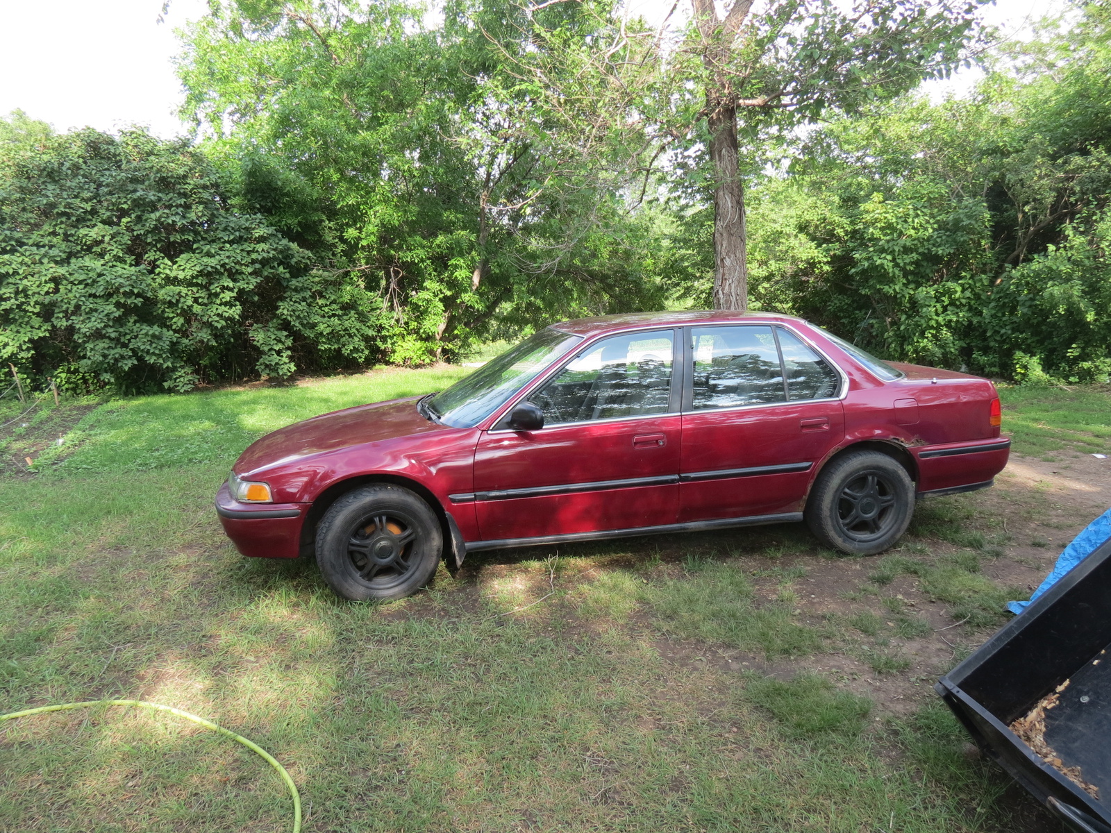 1992 Honda Accord Dx