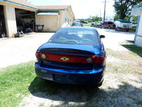 Cavalier Cavalier