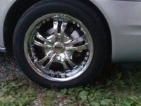 Alero Alero