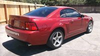 Mustang SVT Cobra Mustang SVT Cobra