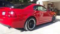 Mustang SVT Cobra Mustang SVT Cobra