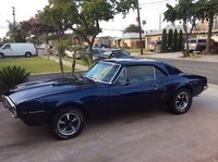 Firebird Firebird