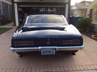 Firebird Firebird