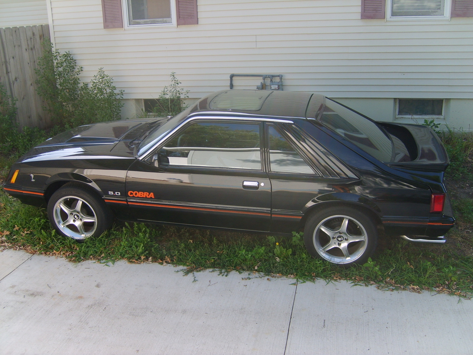 1979 Ford mustang cobra for sale #10