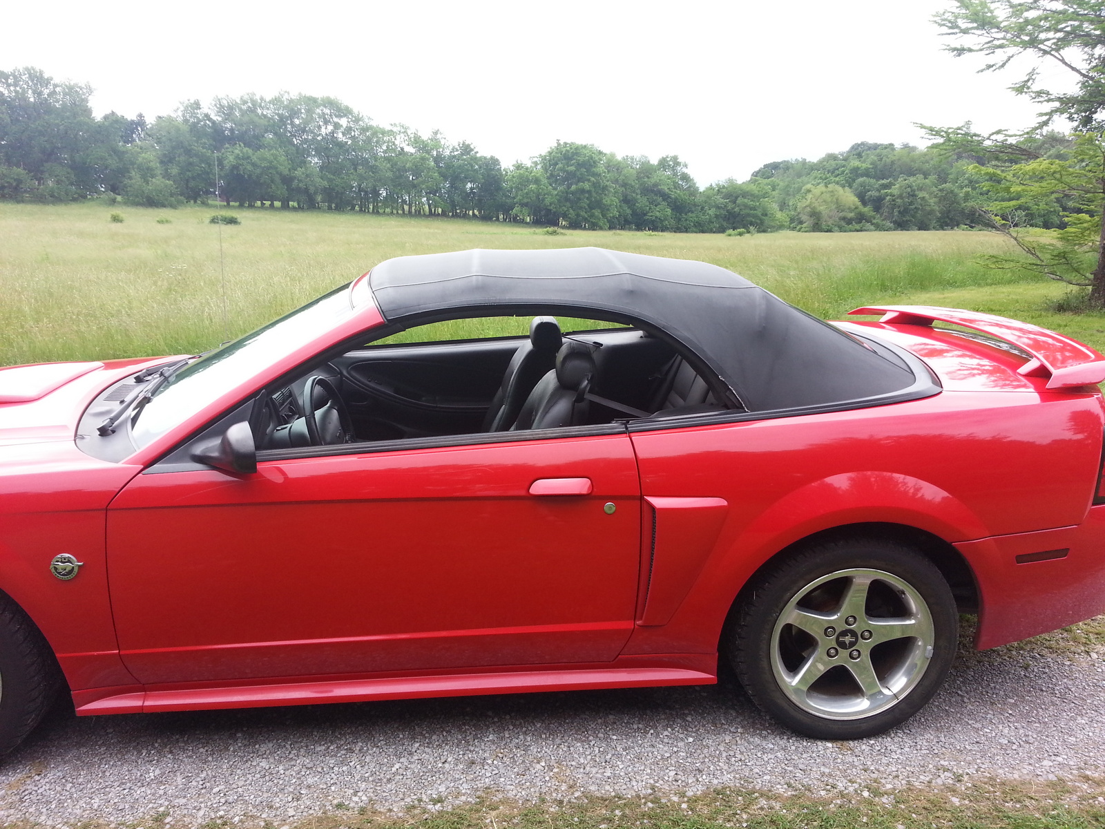 2004 Ford mustang convertible gt deluxe #4