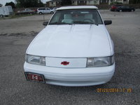 Cavalier Cavalier