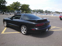 Firebird Firebird