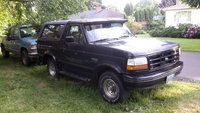 Bronco Bronco