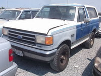 Bronco Bronco
